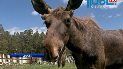 Впервые на Южном Урале пройдет форум по развитию внутреннего туризма
