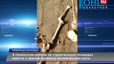 В Ленинском районе на детскую площадку завезли человеческие кости