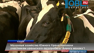 Молочные хозяйства Южного Урала показали участникам уральского автопробега "Дорогу молоку"!