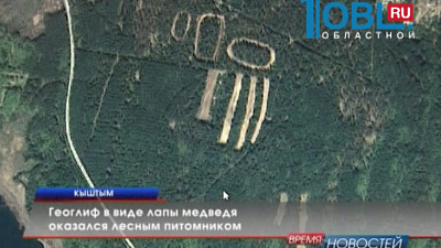 Геоглиф в виде лапы медведя оказался лесным питомником