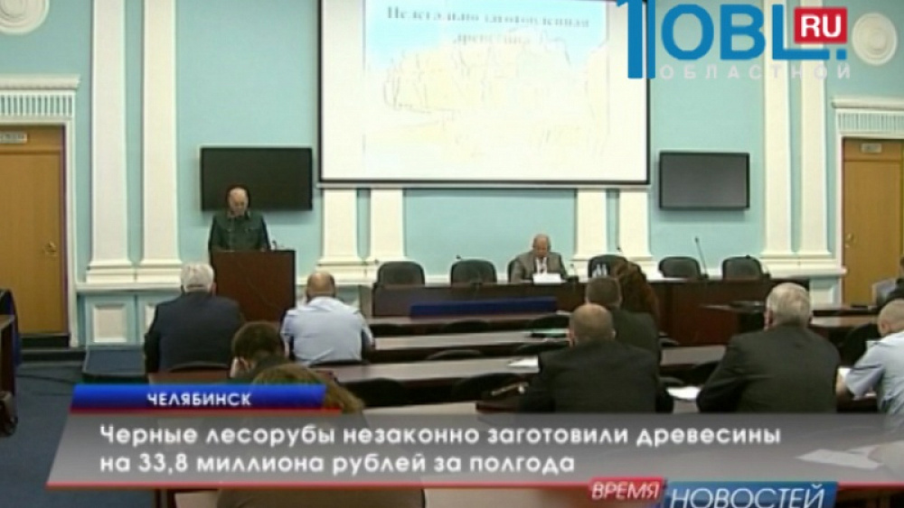 Черные лесорубы незаконно заготовили древесины на 33,8 миллиона рублей за полгода