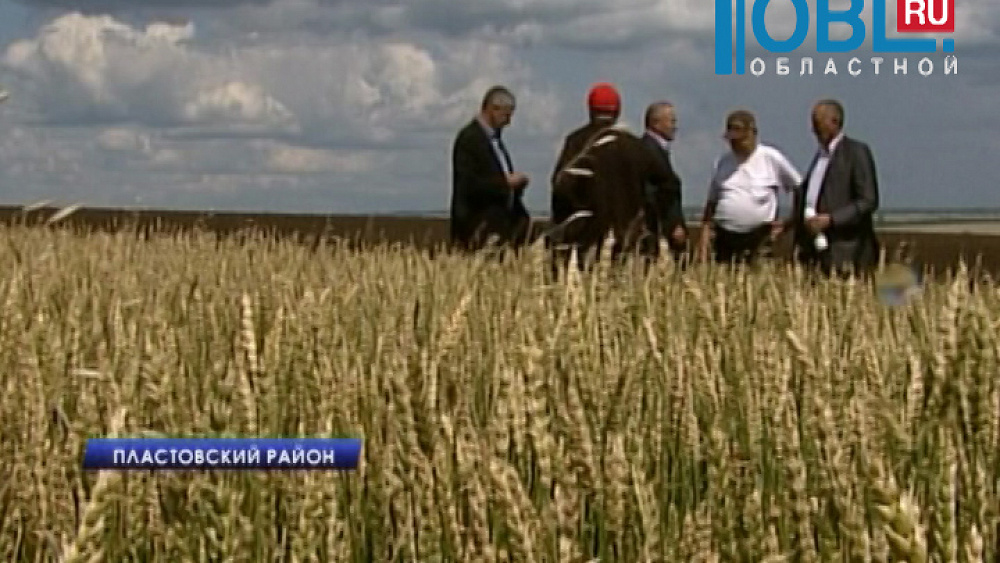 Южноуральские фермеры увеличивают производство зерна, овощей и картофеля