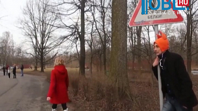 Обзор интернета от 22.07.2015