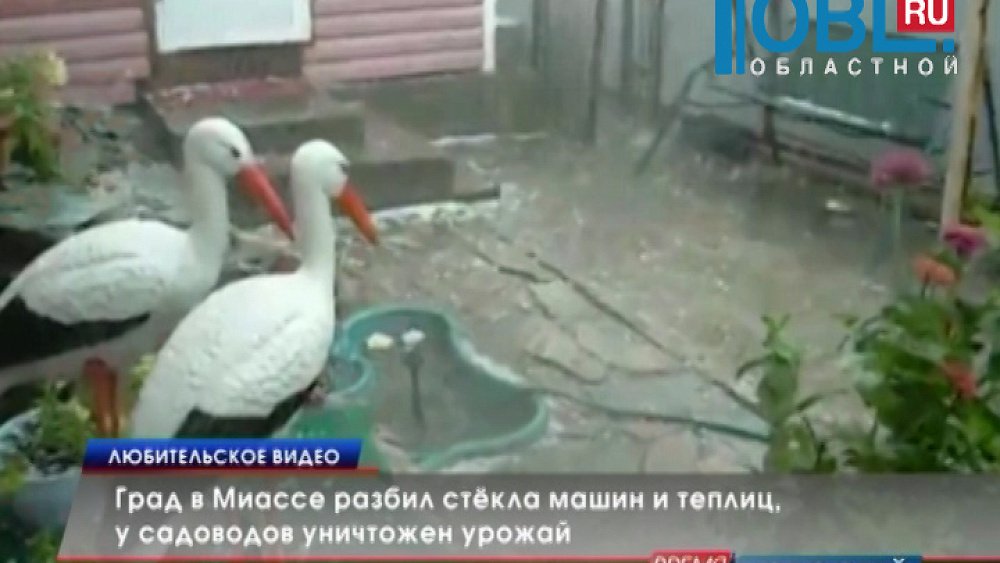 Град в Миассе разбил стёкла машин и теплиц, у садоводов уничтожен урожай