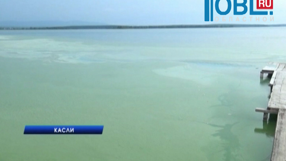 Поверхность озера Большие Касли покрылась слоем слизи с неприятным запахом