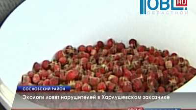 Экологи ловят нарушителей в Харлушевском заказнике 