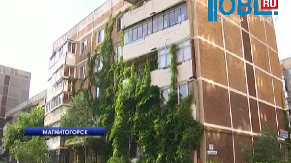 Александр Коротких превратил стену дома в виноградную плантацию