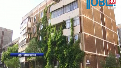 Александр Коротких превратил стену дома в виноградную плантацию