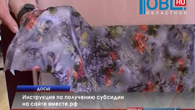 В Челябинской области идет прием заявок на субсидии предпринимателям от правительства региона