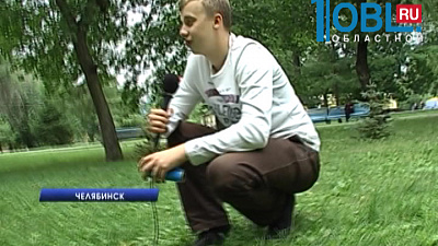 В Челябинской области зафиксировано небывалое нашествие мошек и комаров