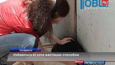 Избавиться от кота жестоким способом