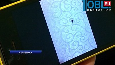 Жительница города нашла жуков в суши из ресторана доставки