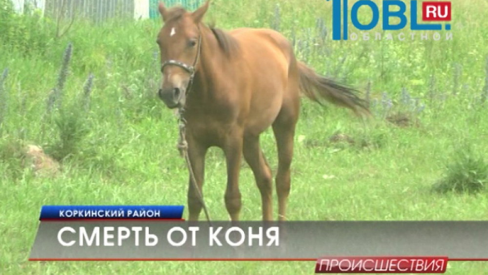 Происшествия дня 30.06.2015