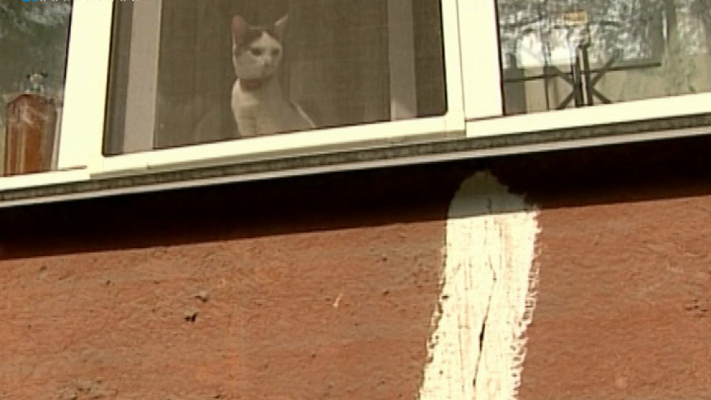 Жители отказались принимать дом после некачественного ремонта