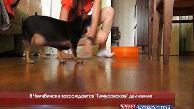 В Челябинске возрождается "Тимуровское" движение