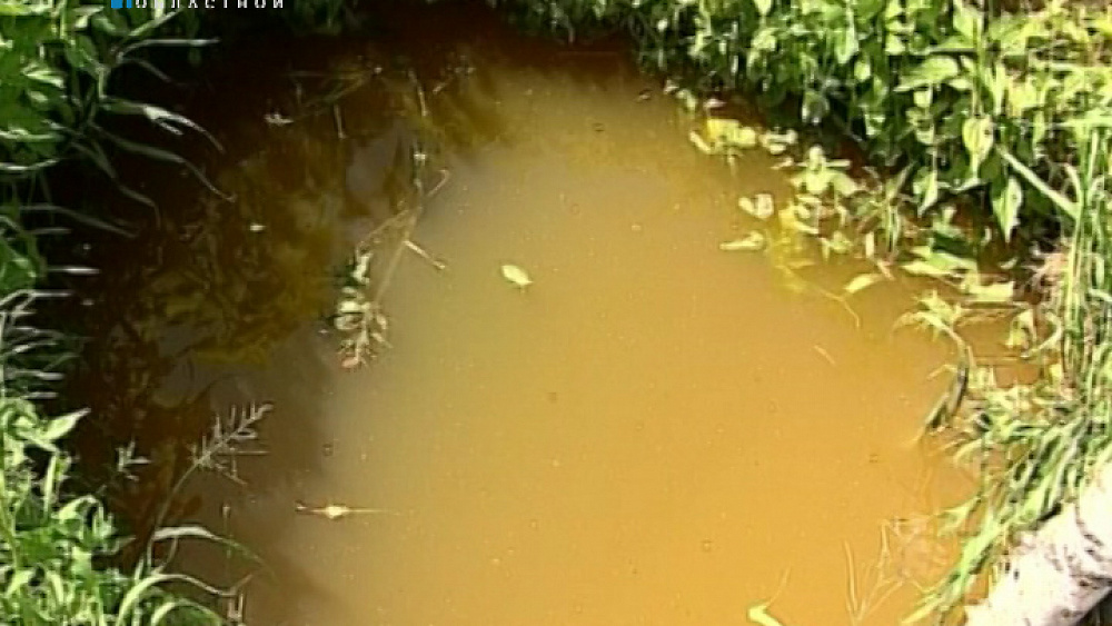 В Сосновской районе больше суток искали пятилетнего мальчика