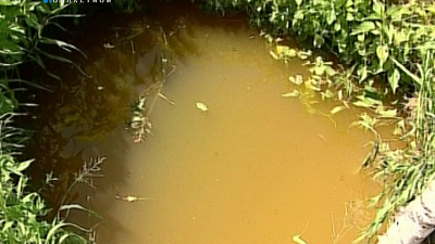 В Сосновской районе больше суток искали пятилетнего мальчика