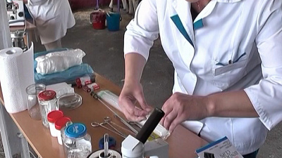 За звание лучшего боролись 26 осеменаторов