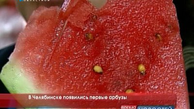 В Челябинске появились первые арбузы