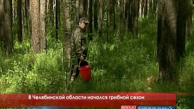 В Челябинской области начался грибной сезон
