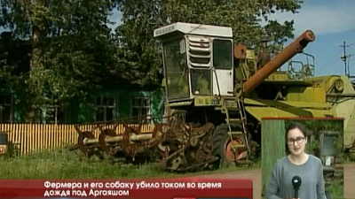 Фермера и его собаку убило током во время дождя под Аргаяшом