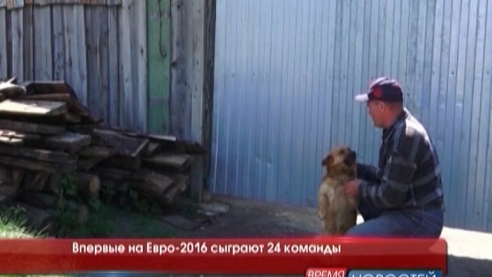 Впервые на Евро-2016 сыграют 24 команды