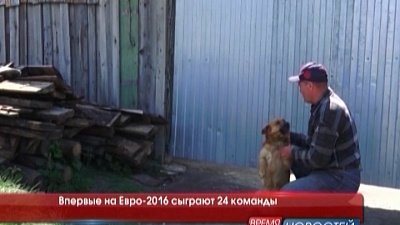 Впервые на Евро-2016 сыграют 24 команды