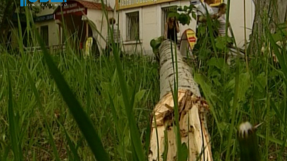 Главы районов решают, как бороться с несанкционированными свалками