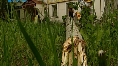 Главы районов решают, как бороться с несанкционированными свалками