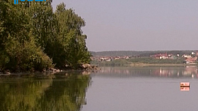 В Шершневском водохранилище вода покрылась зеленой пленкой