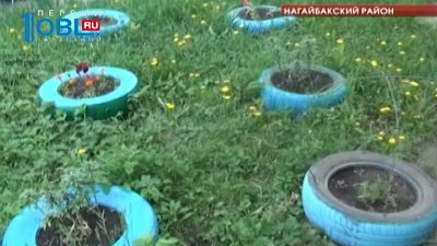 В области участились кражи цветов с клумб