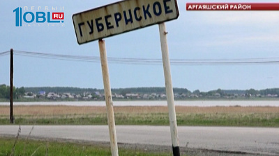 Волонтер из Озерска бесплатно раздает виолы и лилии