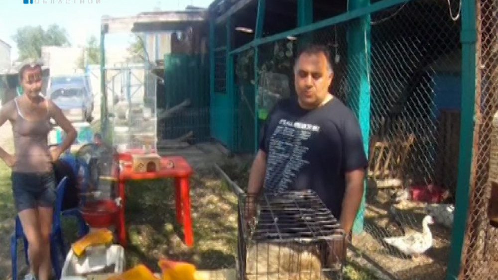 В Челябинске задержали чёрных торговцев дикими животными