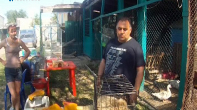 В Челябинске задержали чёрных торговцев дикими животными