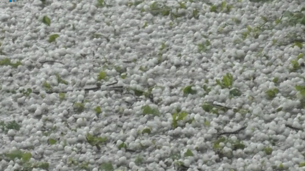  В Челябинской области прошел град размером с перепелиное яйцо