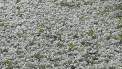  В Челябинской области прошел град размером с перепелиное яйцо