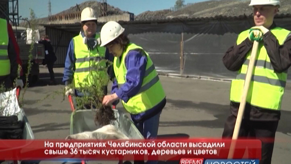 На предприятиях Челябинской области высадили свыше 36 тысяч кустарников, деревьев и цветов