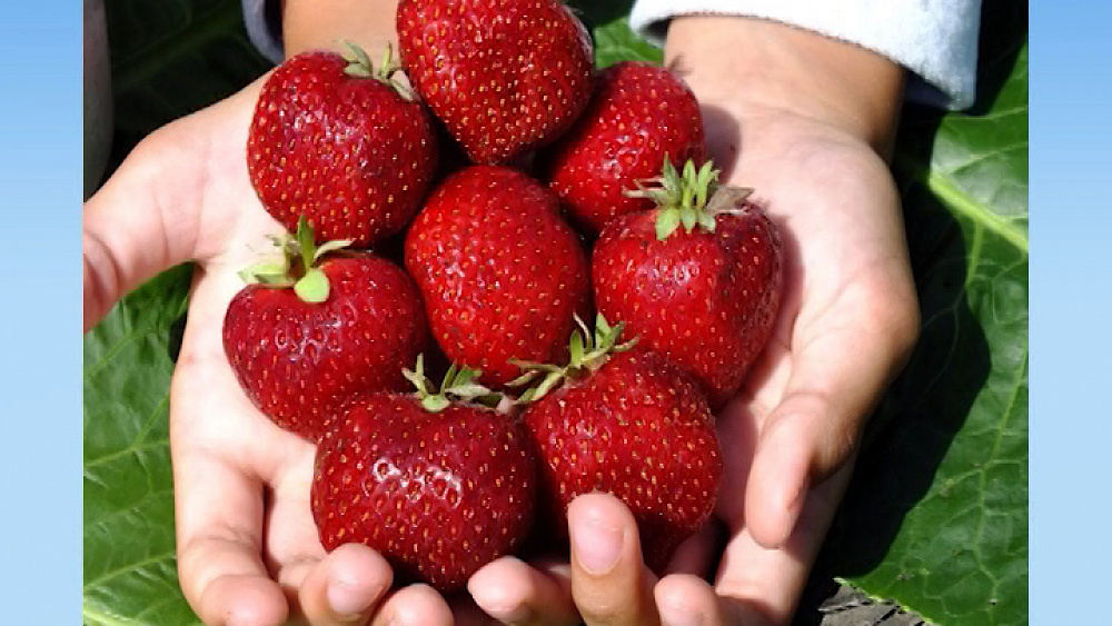 Уютный дом от 29.05.2016