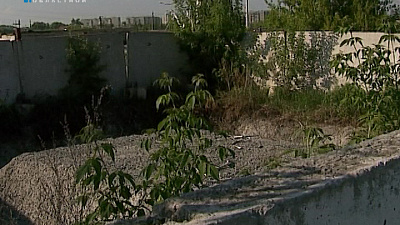 В Челябинской области обнаружили 17 бесхозных скотомогильников