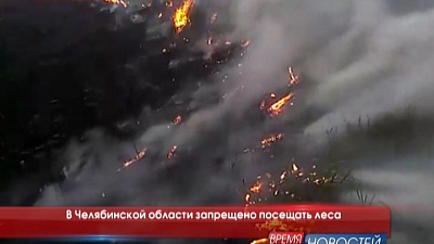 В Челябинской области запрещено посещать леса