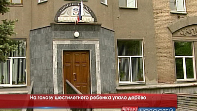 На голову шестилетнего ребенка упало дерево