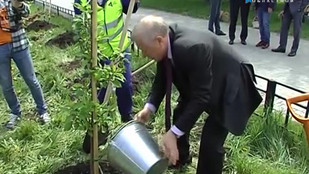 Русская медная компания высадит в Челябинске сто деревьев