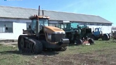 Грант на развитие животноводства получили три фермера из Челябинской области 