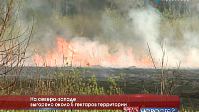 На северо-западе выгорело около 5 гектаров территории