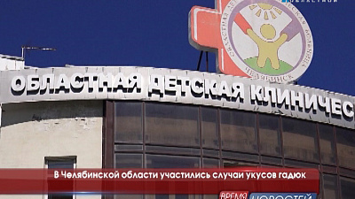 В Челябинской области участились случаи укусов гадюк