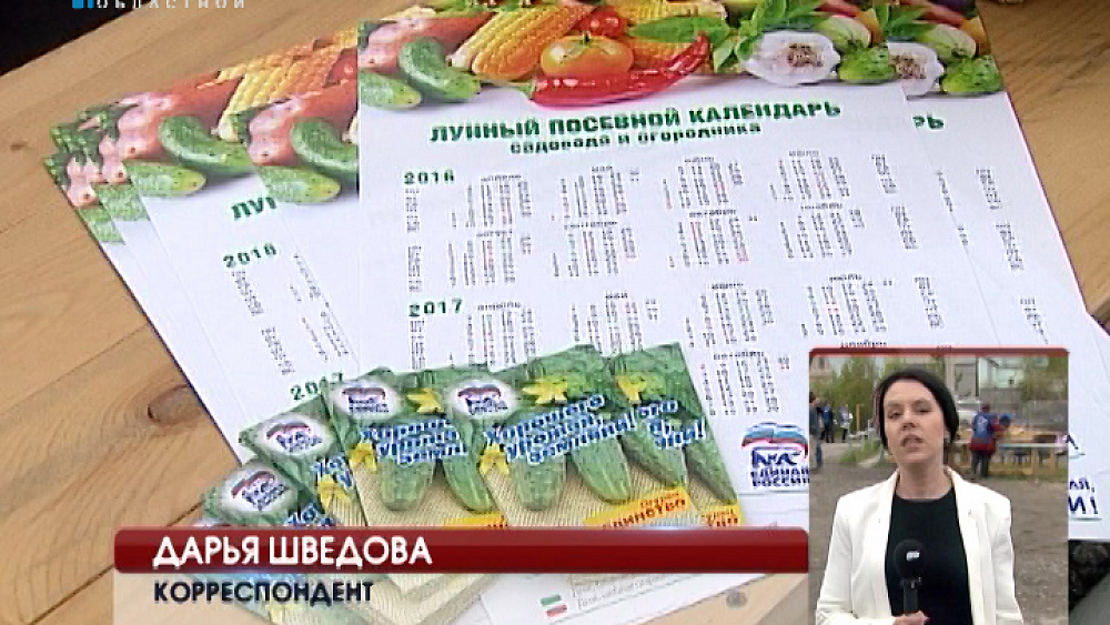 Семена огурцов - бесплатно.