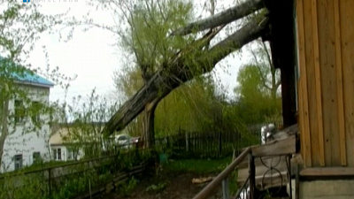 Ветер валит на землю хрупкие постройки и деревья