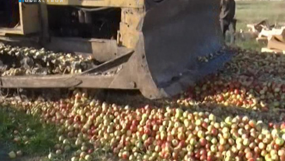 В Челябинской области уничтожили 9 тонн польских яблок