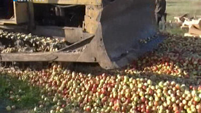 В Челябинской области уничтожили 9 тонн польских яблок