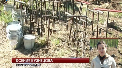 Восстанавливают бор